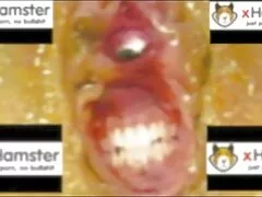 الحلمة والجليد افلام جنس عراقي