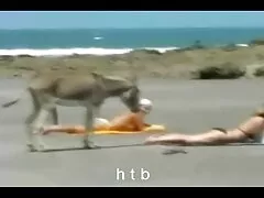 صب افلام سيكس عراقي مجففات